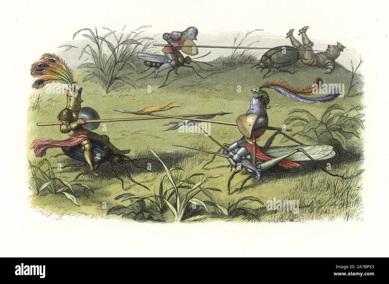 Elves in suits of armour mounted on crickets and beetles staging a fairy tournament. Handcoloured woodblock print by Edmund Evans after an illustration by Richard Doyle from In Fairyland, a series of Pictures from the Elf World, Longman, London, 1870. Stock Photo