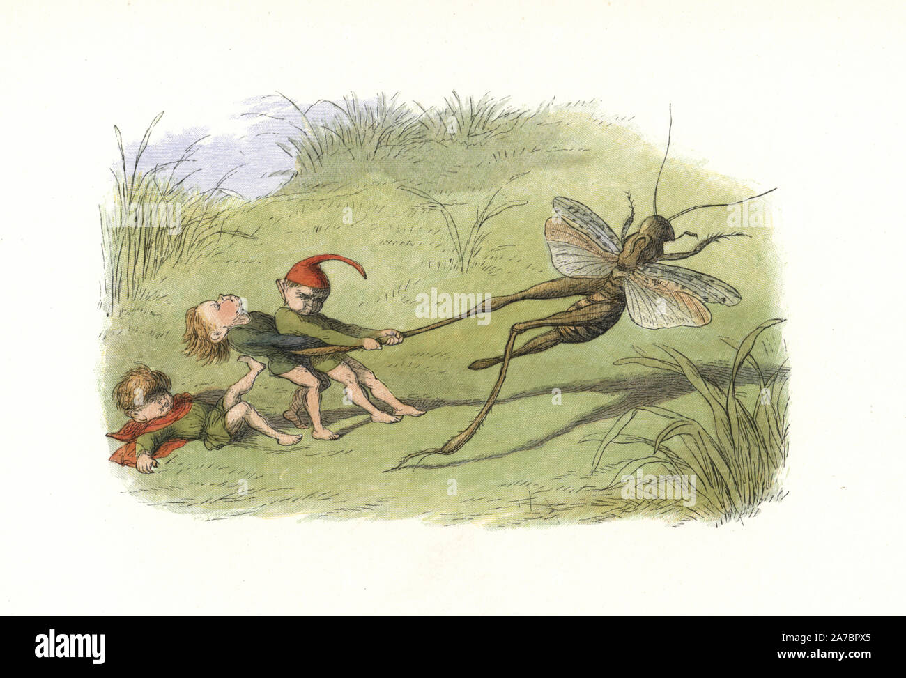 Cruel elves holding on to a cricket's leg. Handcoloured woodblock print by Edmund Evans after an illustration by Richard Doyle from In Fairyland, a series of Pictures from the Elf World, Longman, London, 1870. Stock Photo