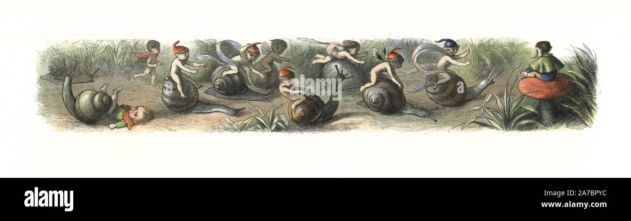 Elves in a snail race in Fairyland. Handcoloured woodblock print by Edmund Evans after an illustration by Richard Doyle from In Fairyland, a series of Pictures from the Elf World, Longman, London, 1870. Stock Photo