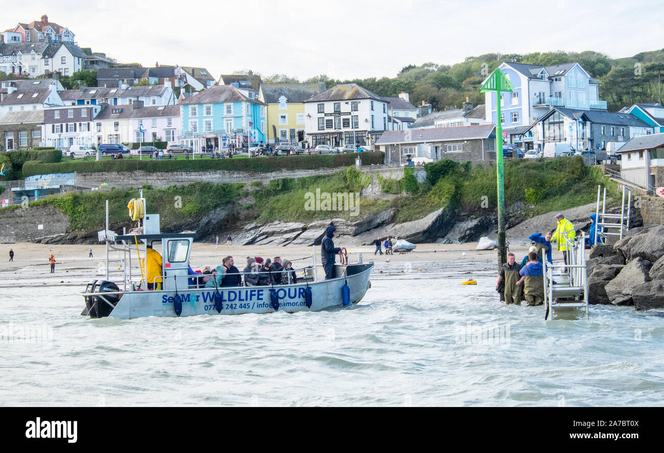 Dolphin watching,boat,Cardigan Bay,NewQuay,New Quay,Newquay,a,popular,fishing,coastal,village,town,popular,for,boat,trips,West Wales,Wales,Welsh,UK,GB Stock Photo