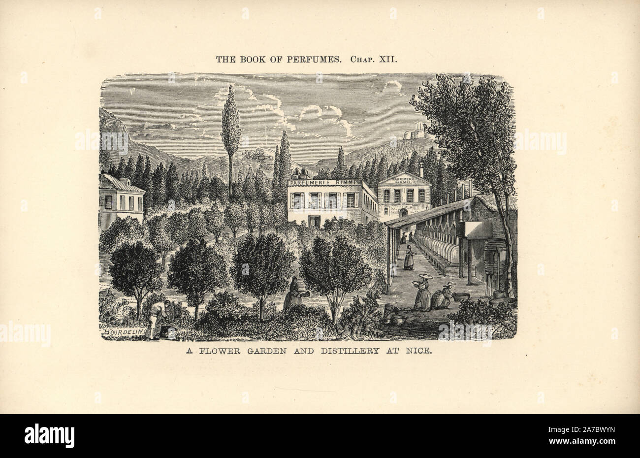 Flower garden and perfume distillery at Nice. Illustration by E. Bourdelin in a woodcut engraving by Gabry from Eugene Rimmel's The Book of Perfumes, London, Chapman and Hall, 1865. Stock Photo