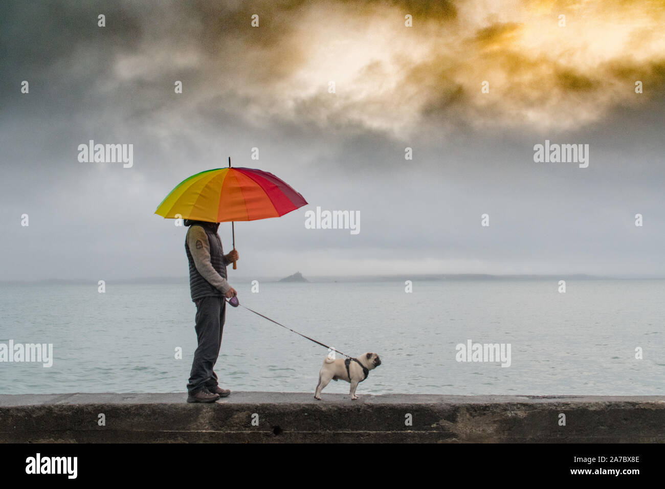 Man walking Pug dog in the rain against the sea with a colourful umbrella Stock Photo