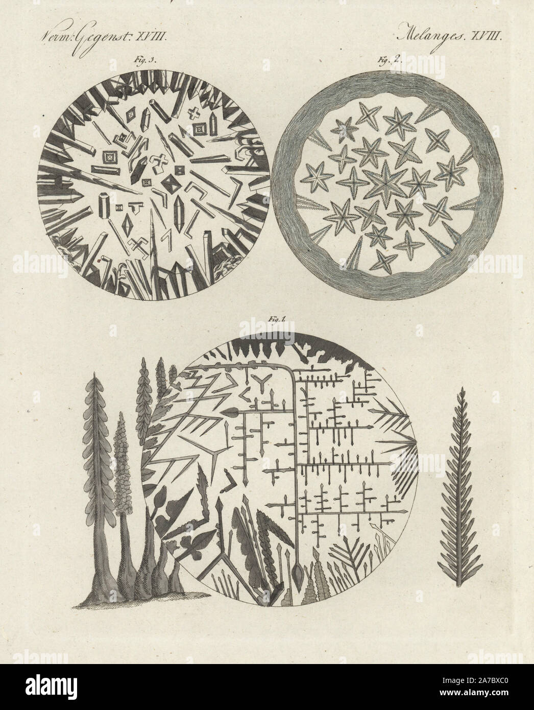 Crystals magnified under a microscope: silver solution and Diana's tree 1, camphor 2, and niter 3. Handcoloured copperplate engraving from Bertuch's 'Bilderbuch fur Kinder' (Picture Book for Children), Weimar, 1798. Friedrich Johann Bertuch (1747-1822) was a German publisher and man of arts most famous for his 12-volume encyclopedia for children illustrated with 1,200 engraved plates on natural history, science, costume, mythology, etc., published from 1790-1830. Stock Photo