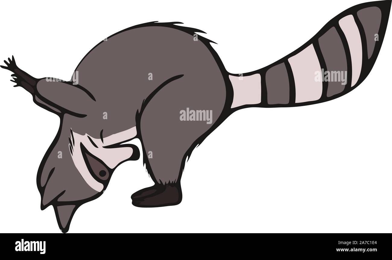 Hand drawn raccoon do yoga. Asana set. Cute wildlife animal character do fitness. Isolated vector design. Stock Vector