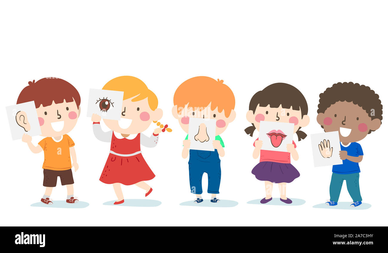 Illustration of Kids Holding the Five Senses Flash Cards from Hearing, Sight, Smell, Taste and Touch Stock Photo