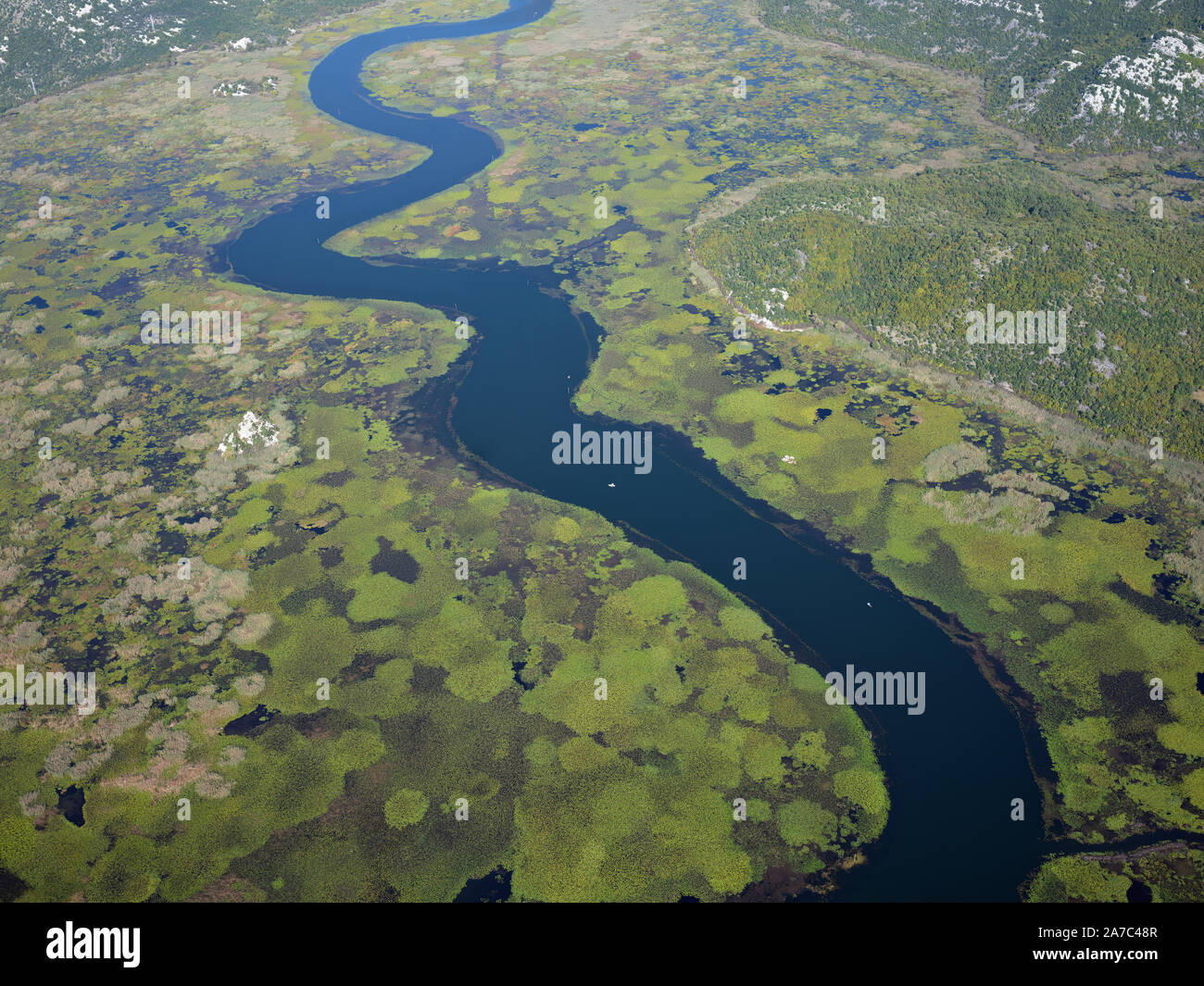 AERIAL VIEW. Lake Skadar near the mouth of Rijeka Crnojevića. Large fields of water lilies give the lake the appearance of a river. Montenegro. Stock Photo