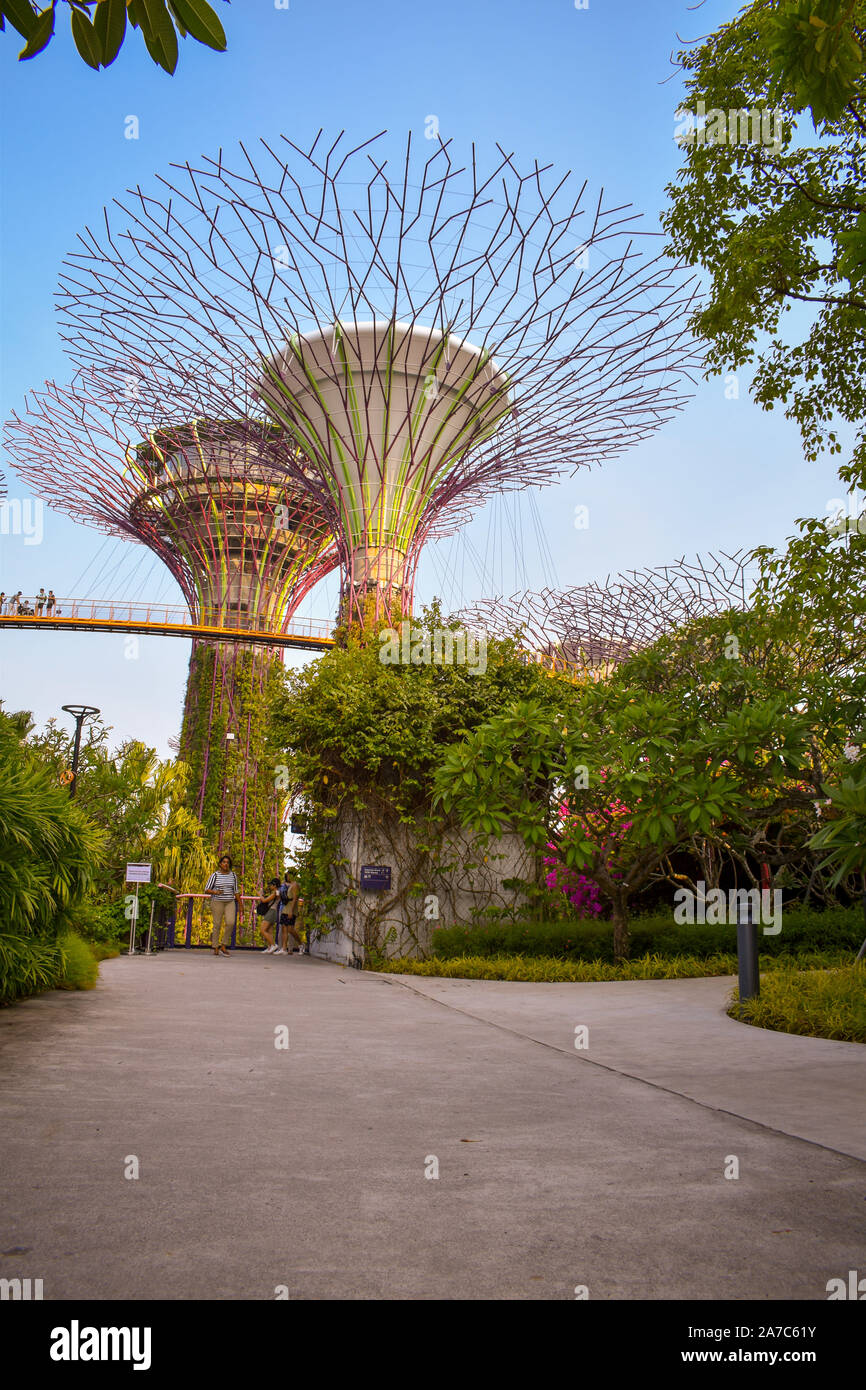 gardens by the bay, Singapore, Asia, 13th august 2019: vast tree structure with clear sky blue background Stock Photo