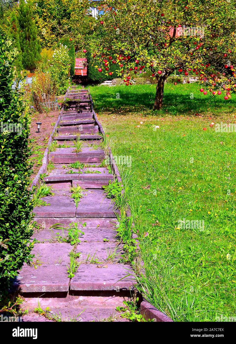 simple garden staircase made of reddish concrete slabs with blades of grass between the joints
