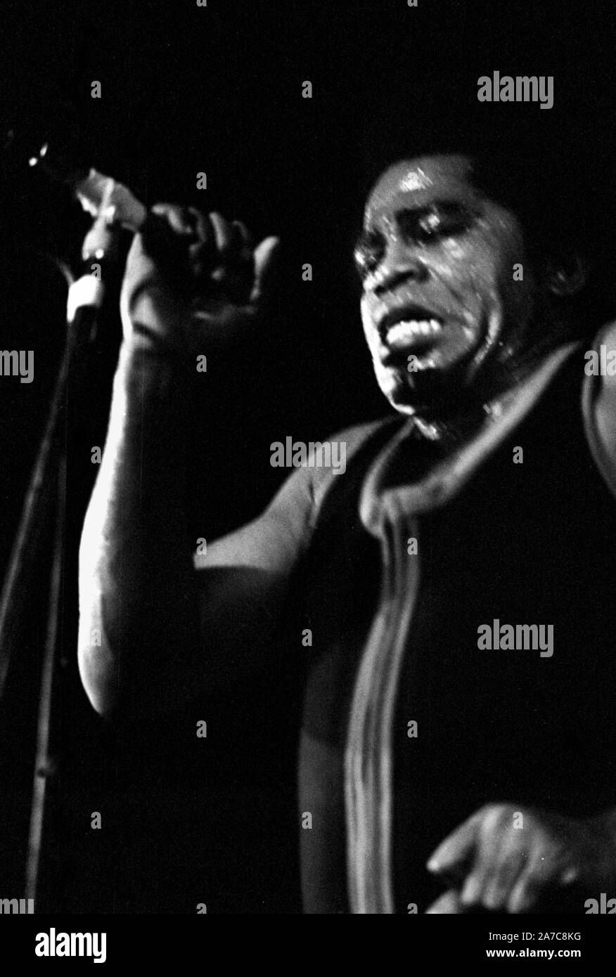 James Brown live on stage in Concertgebouw, Amsterdam. Netherlands