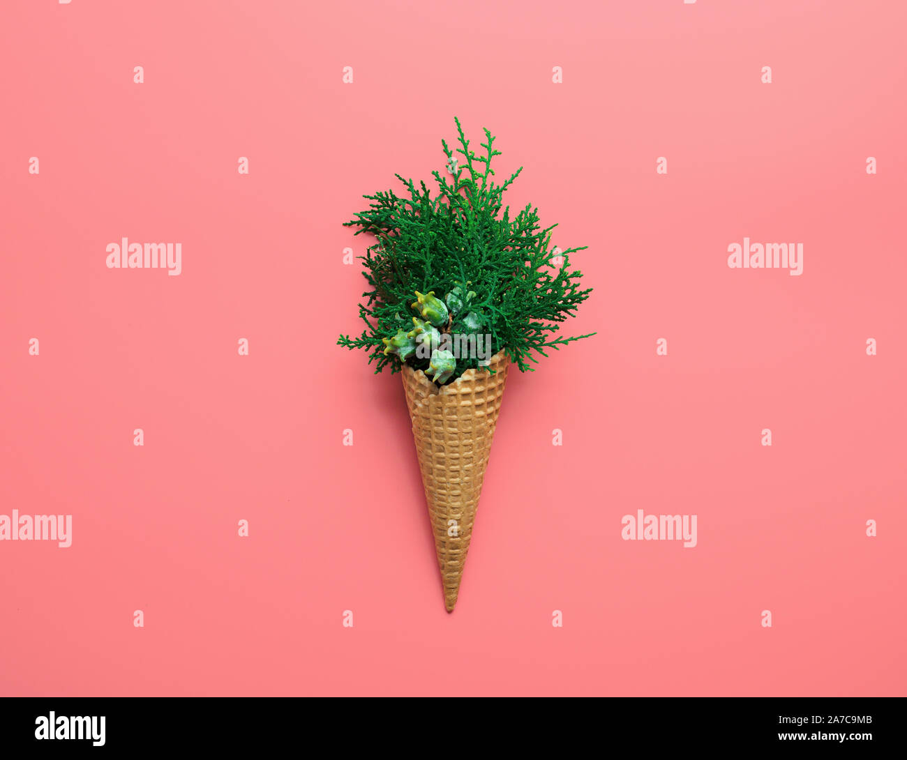 Christmas concept. Bouquet of cypress branches in ice cream cone