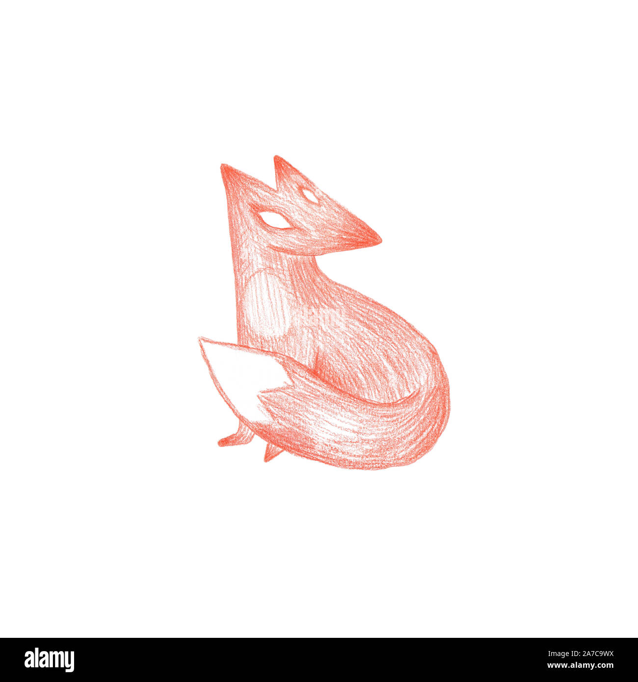 Red Fox Vulpes vulpes Dimensions  Drawings  Dimensionscom