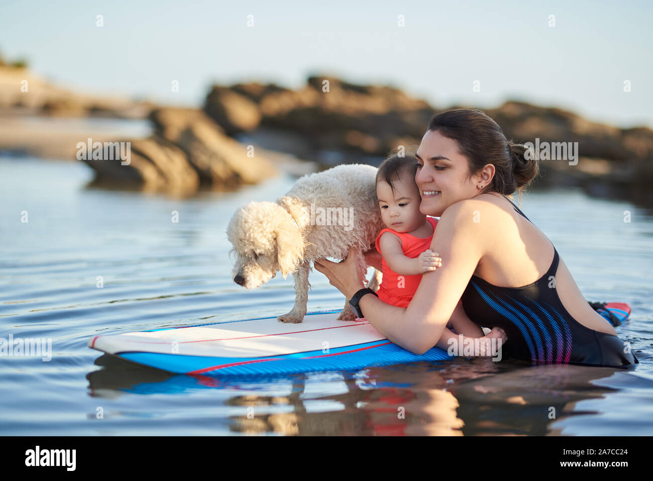 Baby girl learning to surf on board with poodle dog Stock Photo