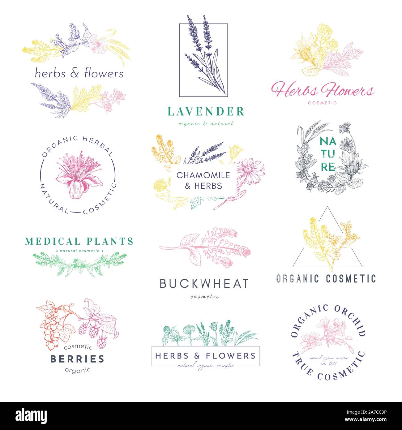 Cosmetic products logo hand drawn vector set. Medical plants, lavender, buckwheat illustrations with typography pack. Natural eco with herbs label, sticker, badge design collection Stock Vector