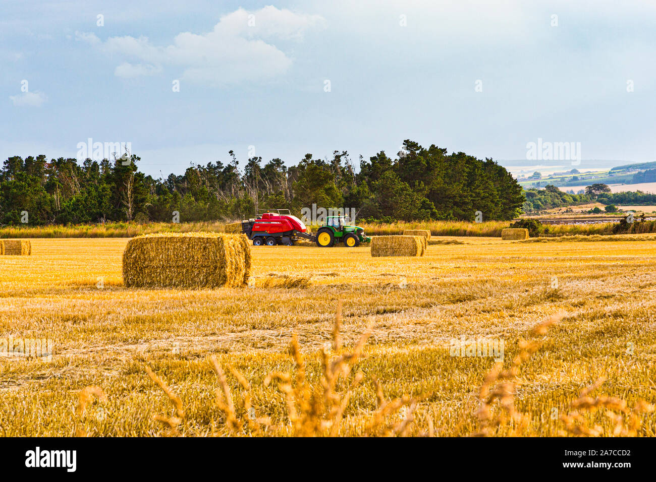 Harvesting Barley near Portsoy in Aberdeenshire Scotland Stock Photo
