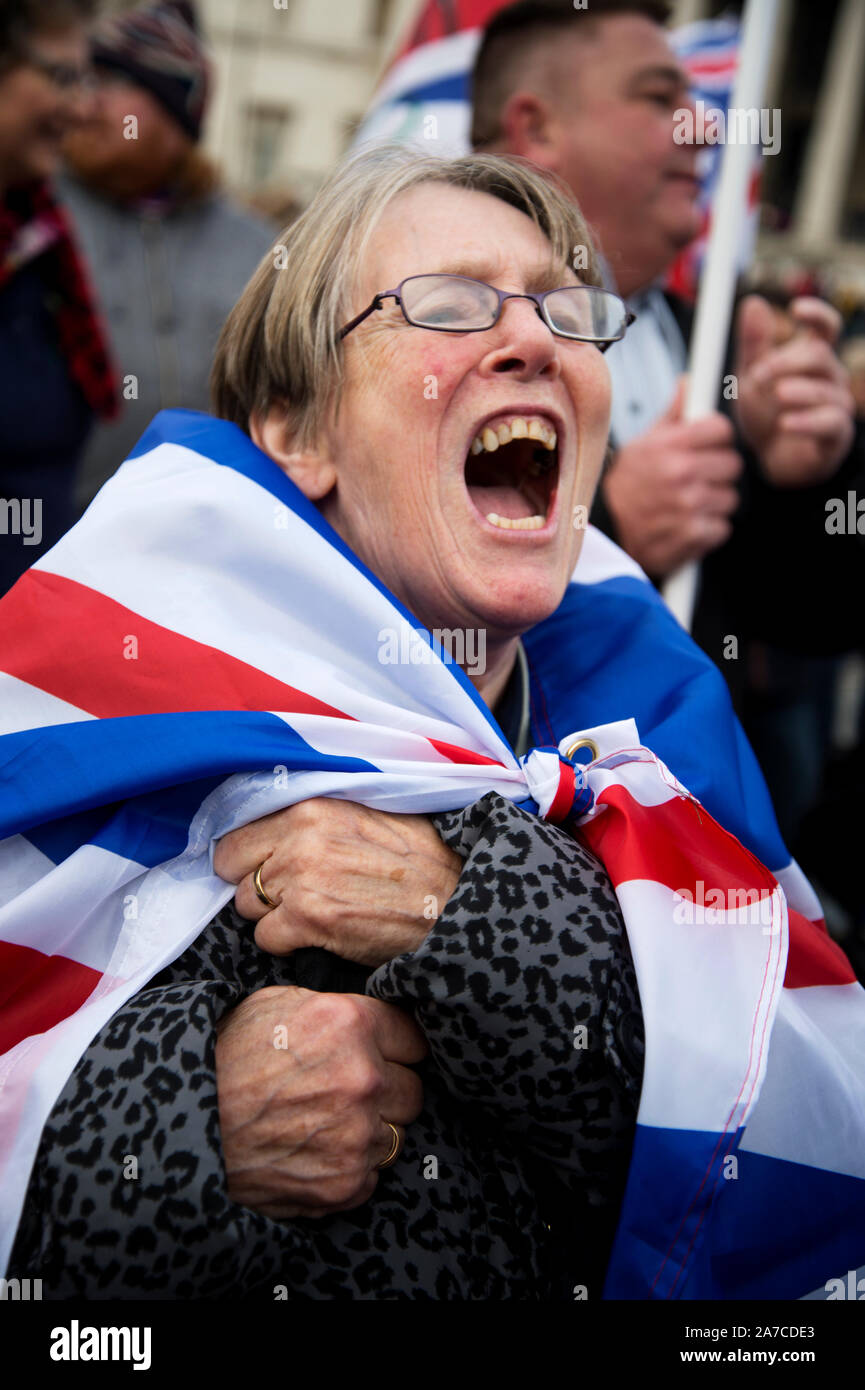 Protest at the Houses of Parliament by supporters of Brexit on October 31st 2019, Halloween, the day Boris Johnson wanted the UK to leave the EU. Stock Photo