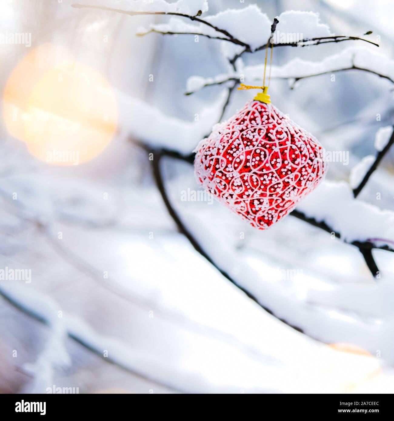 Red Christmas Decoration Hanging Outside On A Frosty Tree Branch with ...