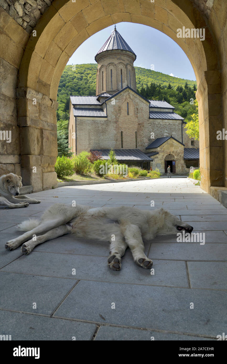 Georgia: Kintsvisi Monastery (Qinzwissi, Kinzwissi) with lazy sleeping dogs Stock Photo