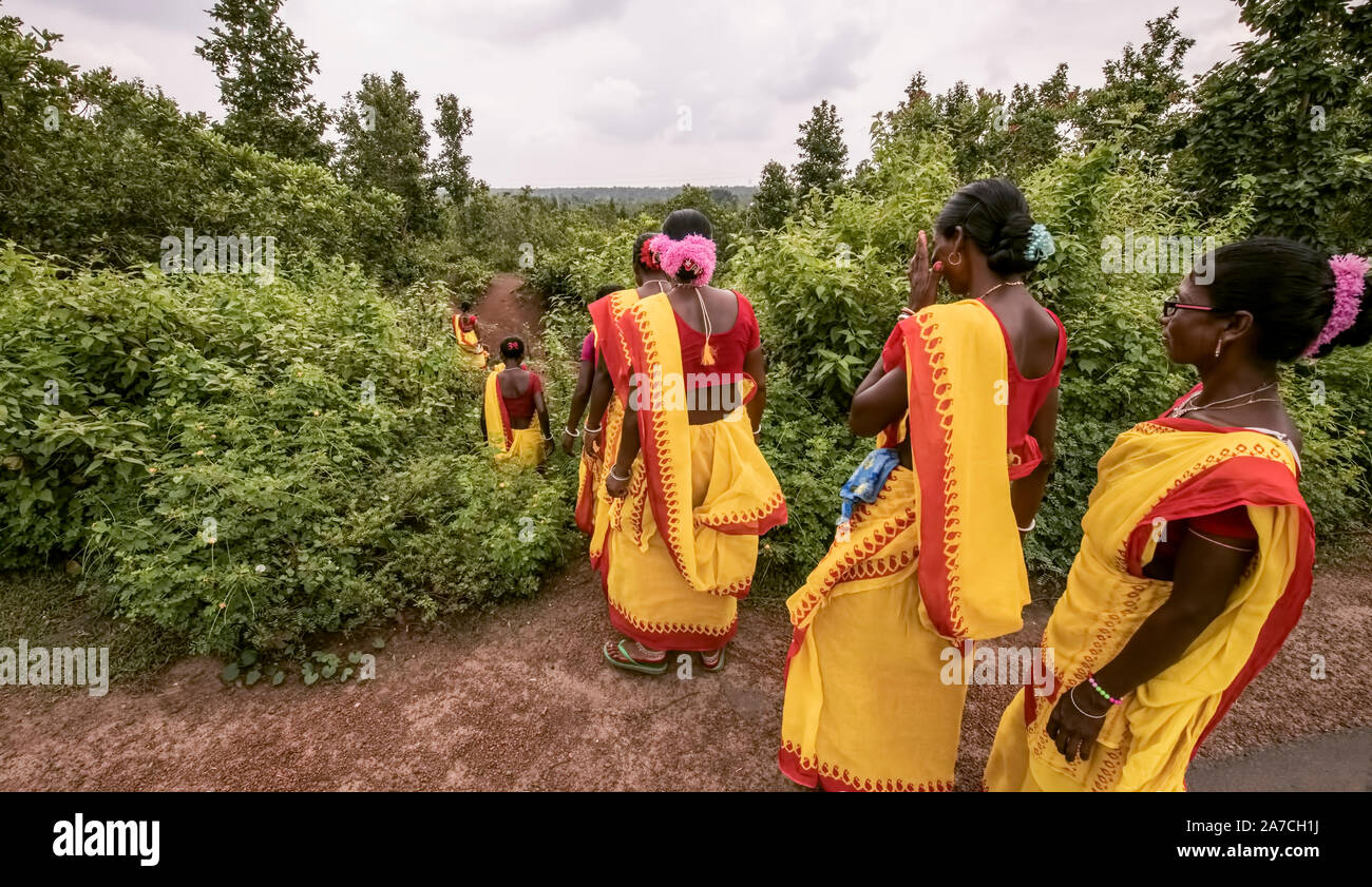 Tribal,Santhal,females,on a,festival day,going,to,forest,in,Lalgarh,valley,Jungalmahal,West Bengal, India. Stock Photo