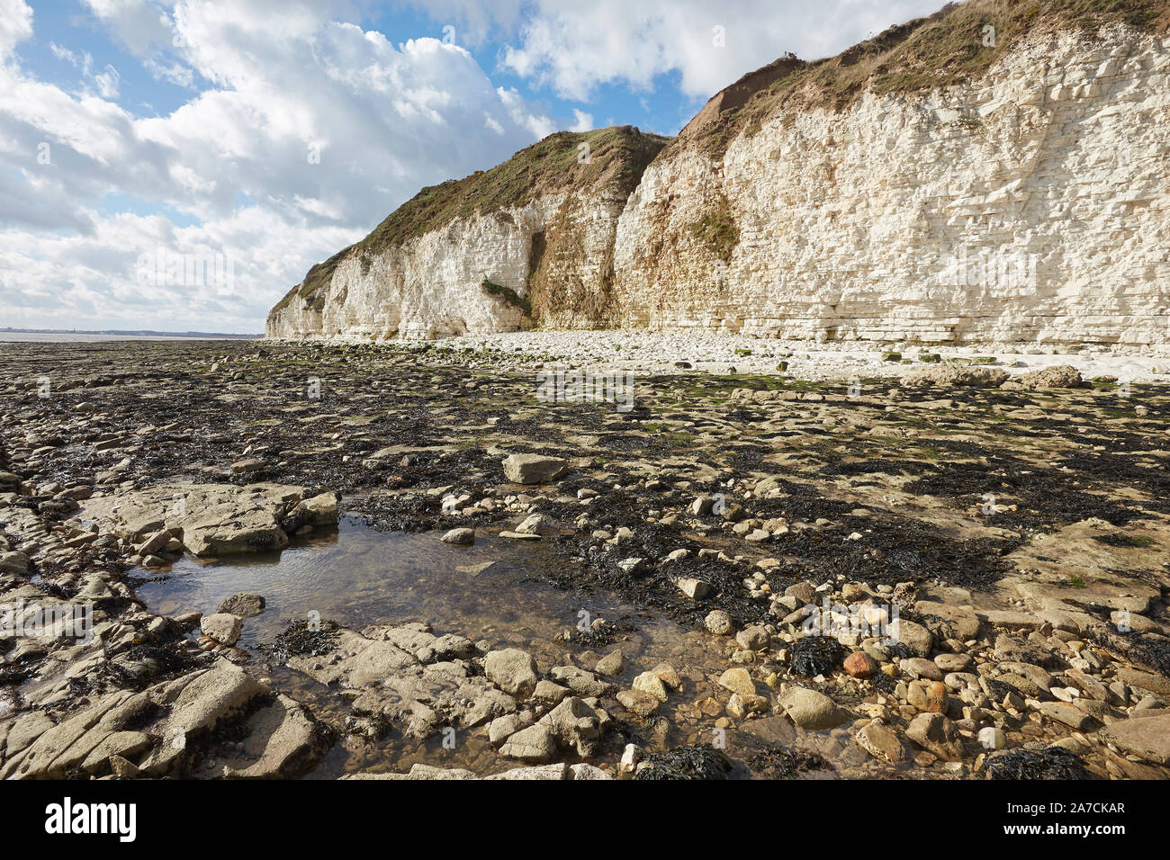 Flamborough Head beach chalk white cliffs and sea, East Yorkshire, UK Stock Photo