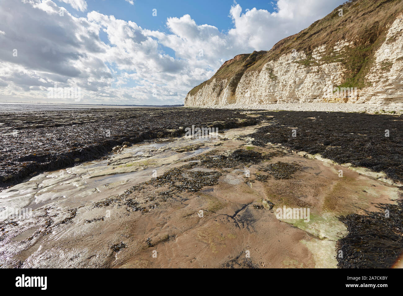 Flamborough Head beach chalk white cliffs and sea north of Bridlington, East Yorkshire, UK Stock Photo