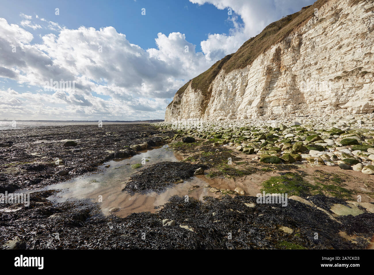 Flamborough Head beach chalk white cliffs and sea north of Bridlington, East Yorkshire, UK Stock Photo