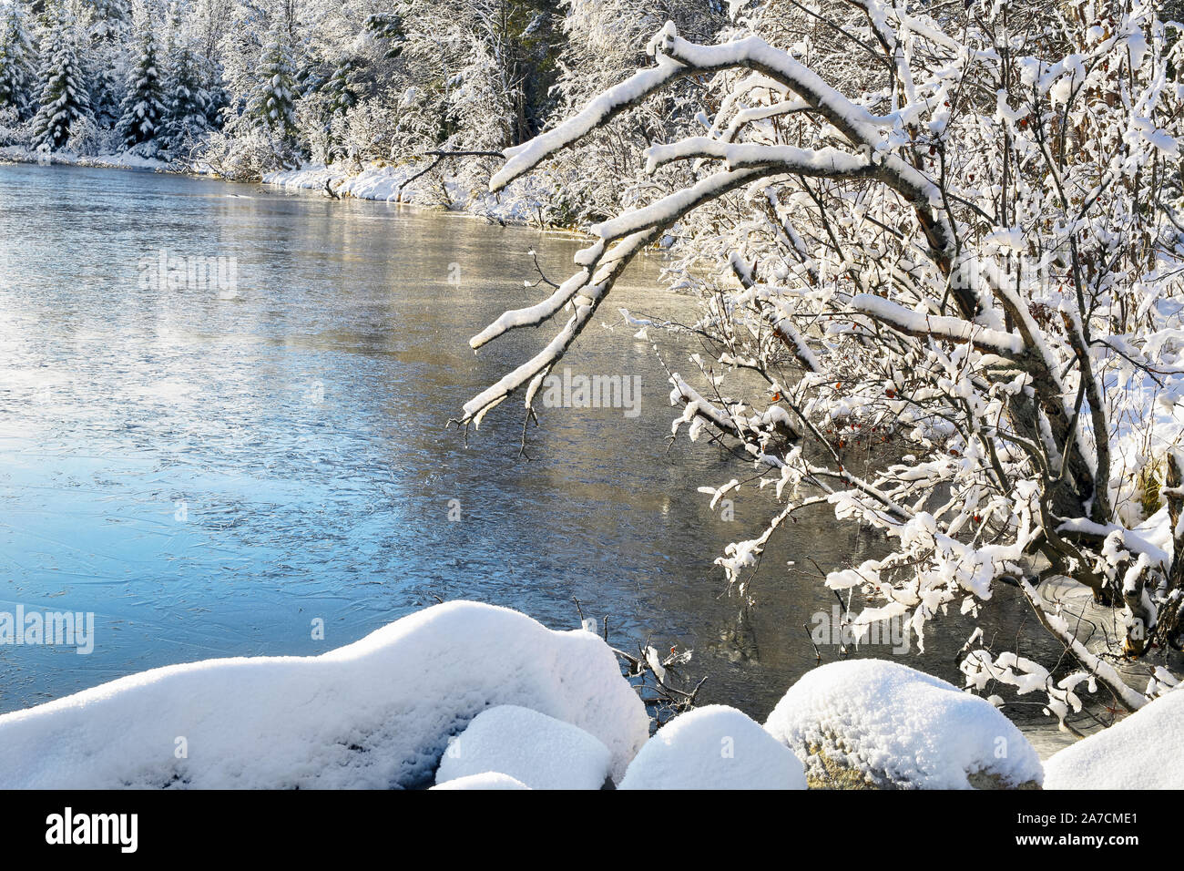 River covered ice autumn trees hi-res stock photography and images - Alamy