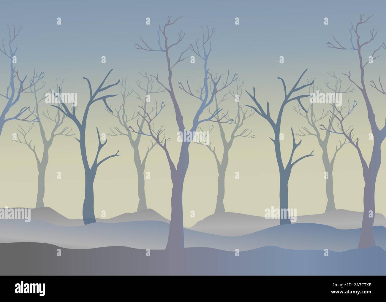 Winter Trees Background. Winter landscape with trees, fog. Cloudy Foggy ...