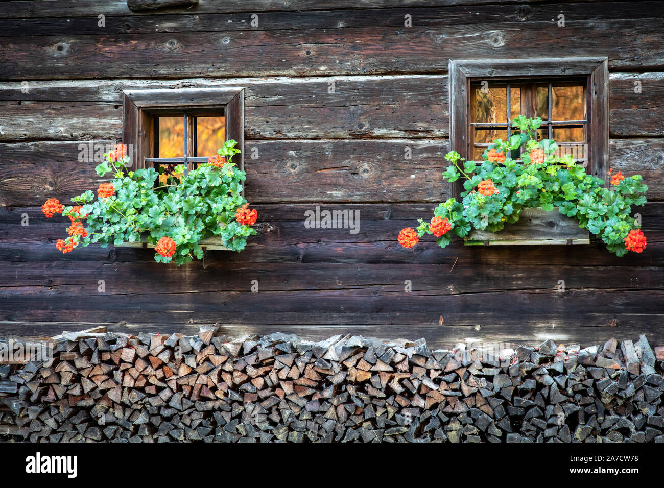 geranium in front of the window and wood pile of austrian farmhouse ...