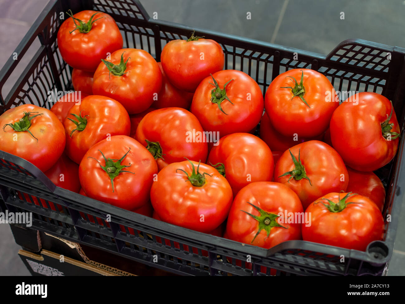 Fresh harvested ripe red tomatoes for sale on weekly spanish market in ...