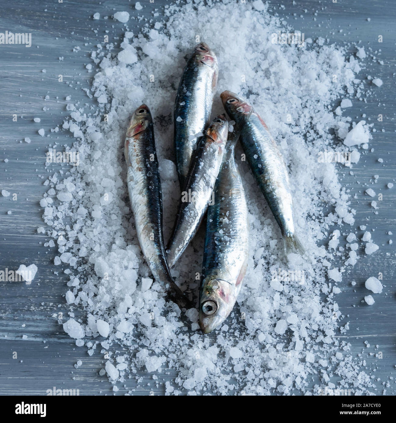 Preparing anchovies in salt. Healthy raw seafood Stock Photo Alamy