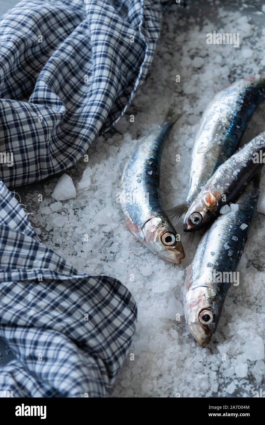 Preparing anchovies in salt. Healthy raw seafood Stock Photo Alamy