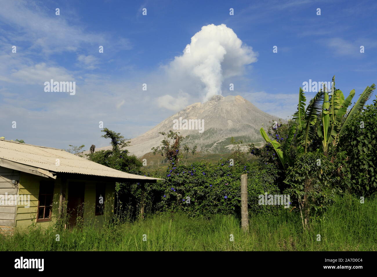 Eruption of the sinabung volcano Stock Photo