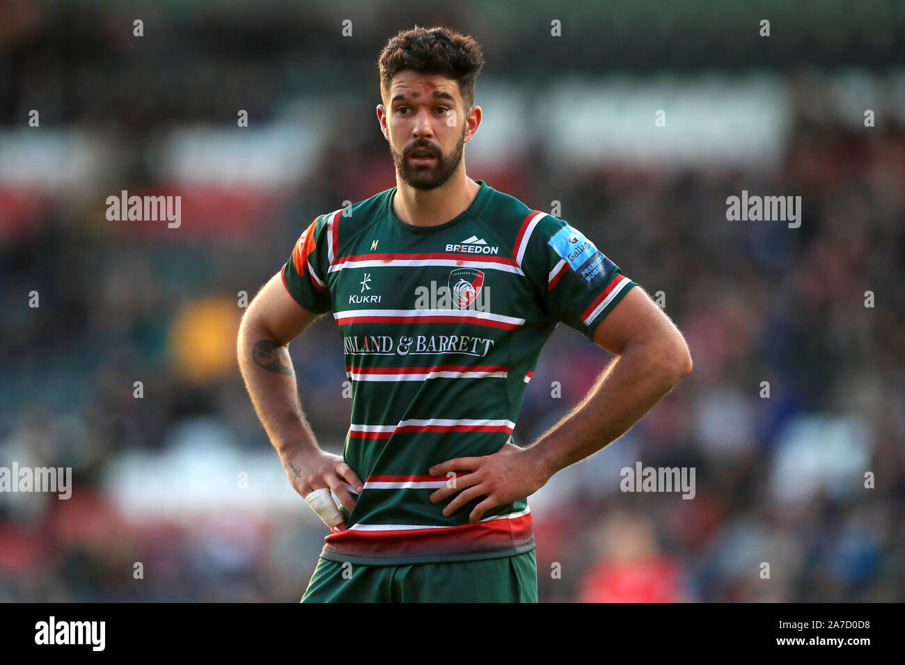 Ew viljoen hires stock photography and images Alamy