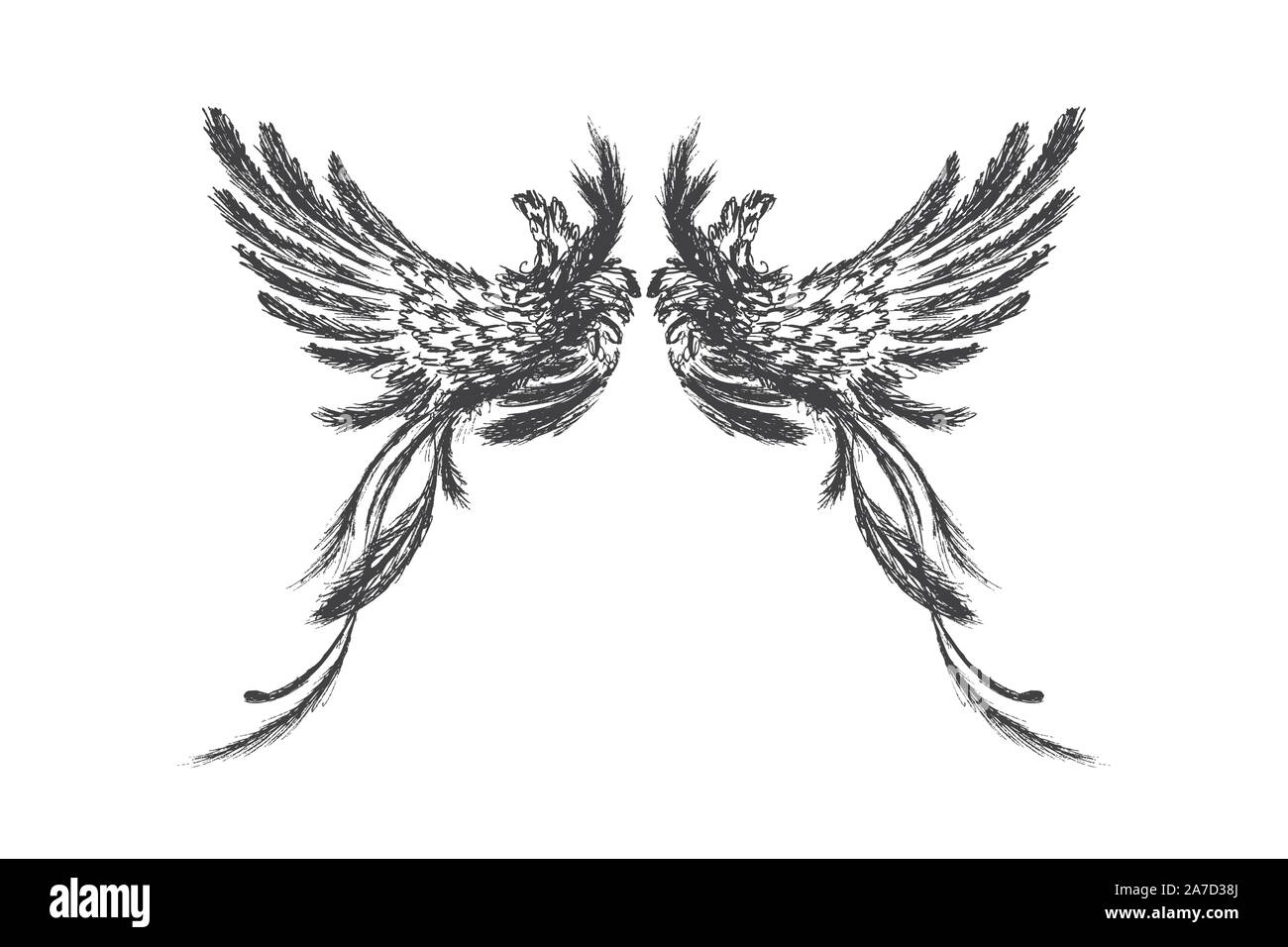 Hand drawn wings,isolated on white background,vector illustration Stock ...