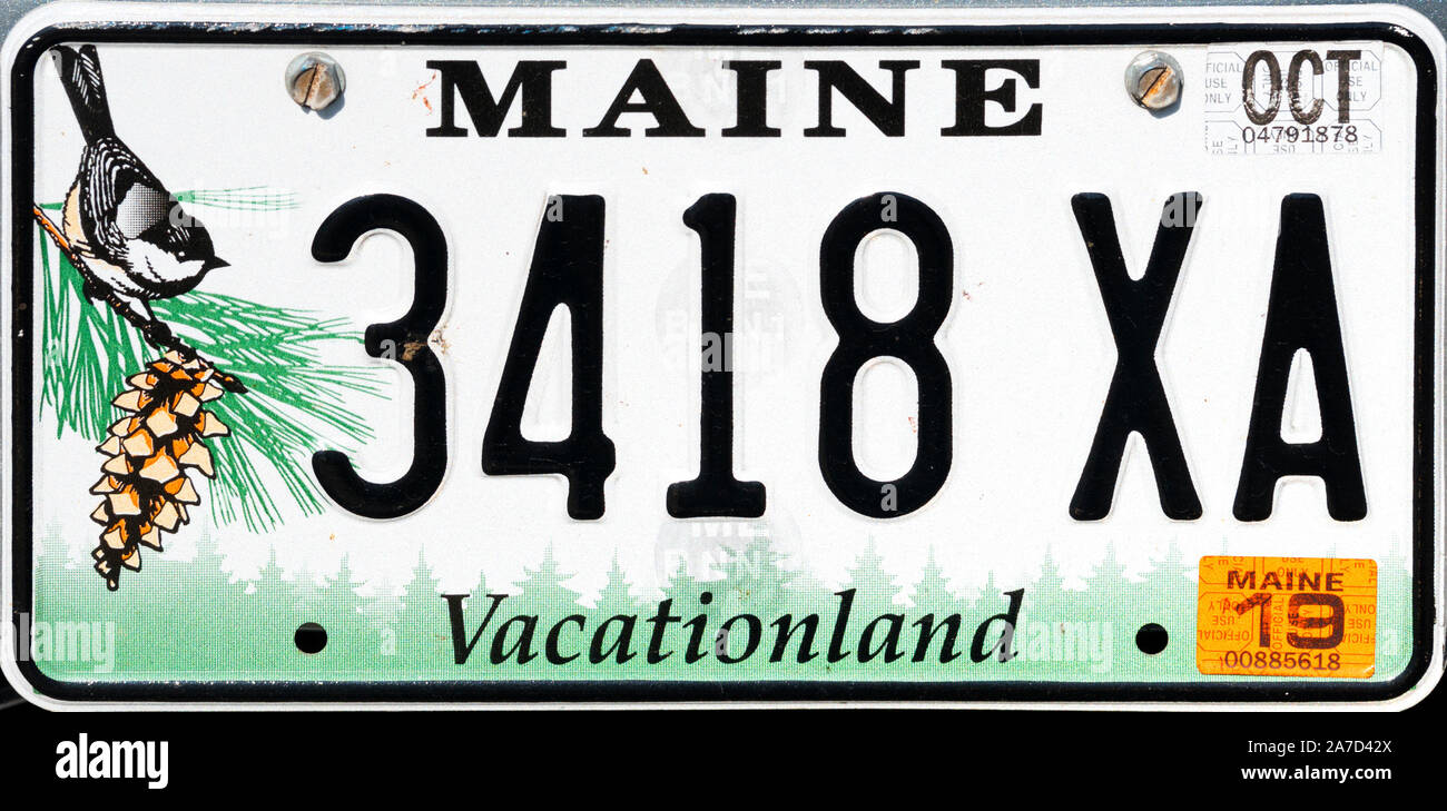Maine License Plate, USA Stock Photo