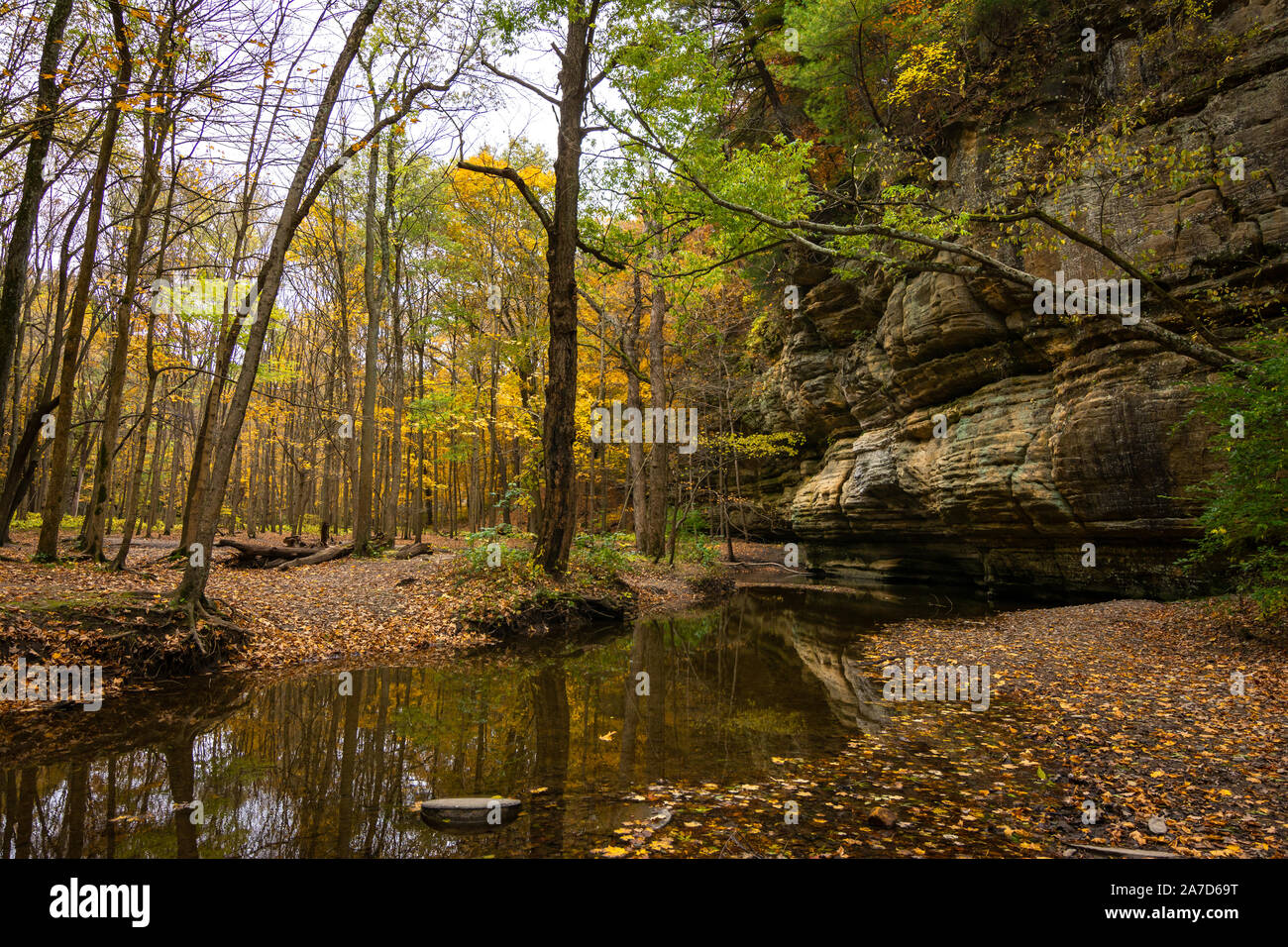 Autumn/Fall foliage and sandstone bluffs in Illinois canyon. Starved Rock  State Park, Illinois Stock Photo - Alamy