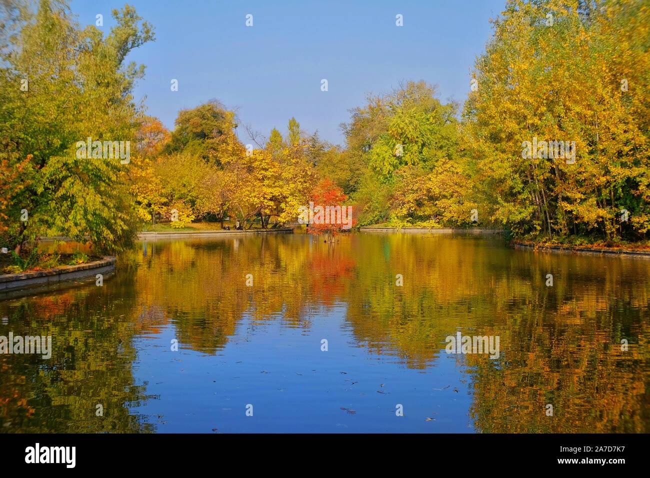 This image was taken in the botanical garden in Bucharest, Romania. Fall colors. Stock Photo