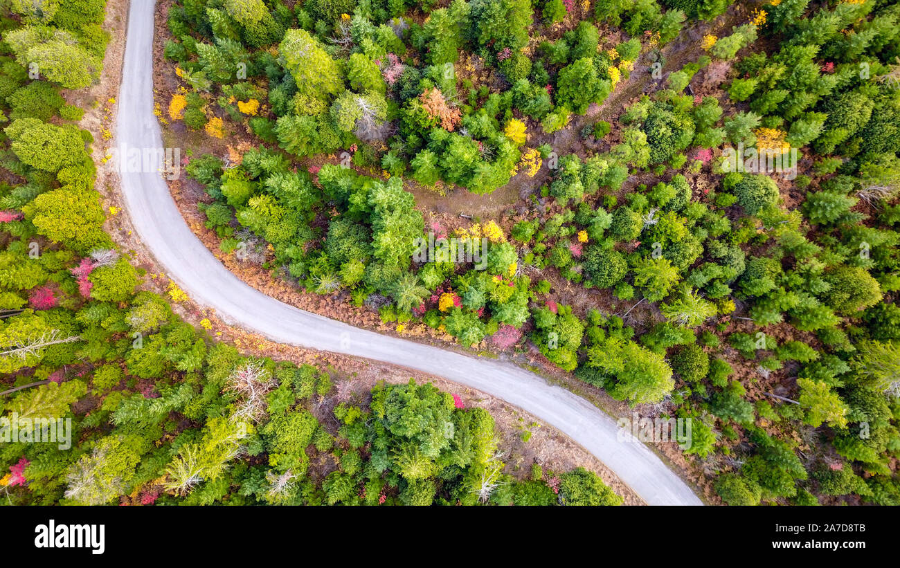 Aerial view of a winding road in the Pacific Northwest forest in autumn in Oregon Stock Photo