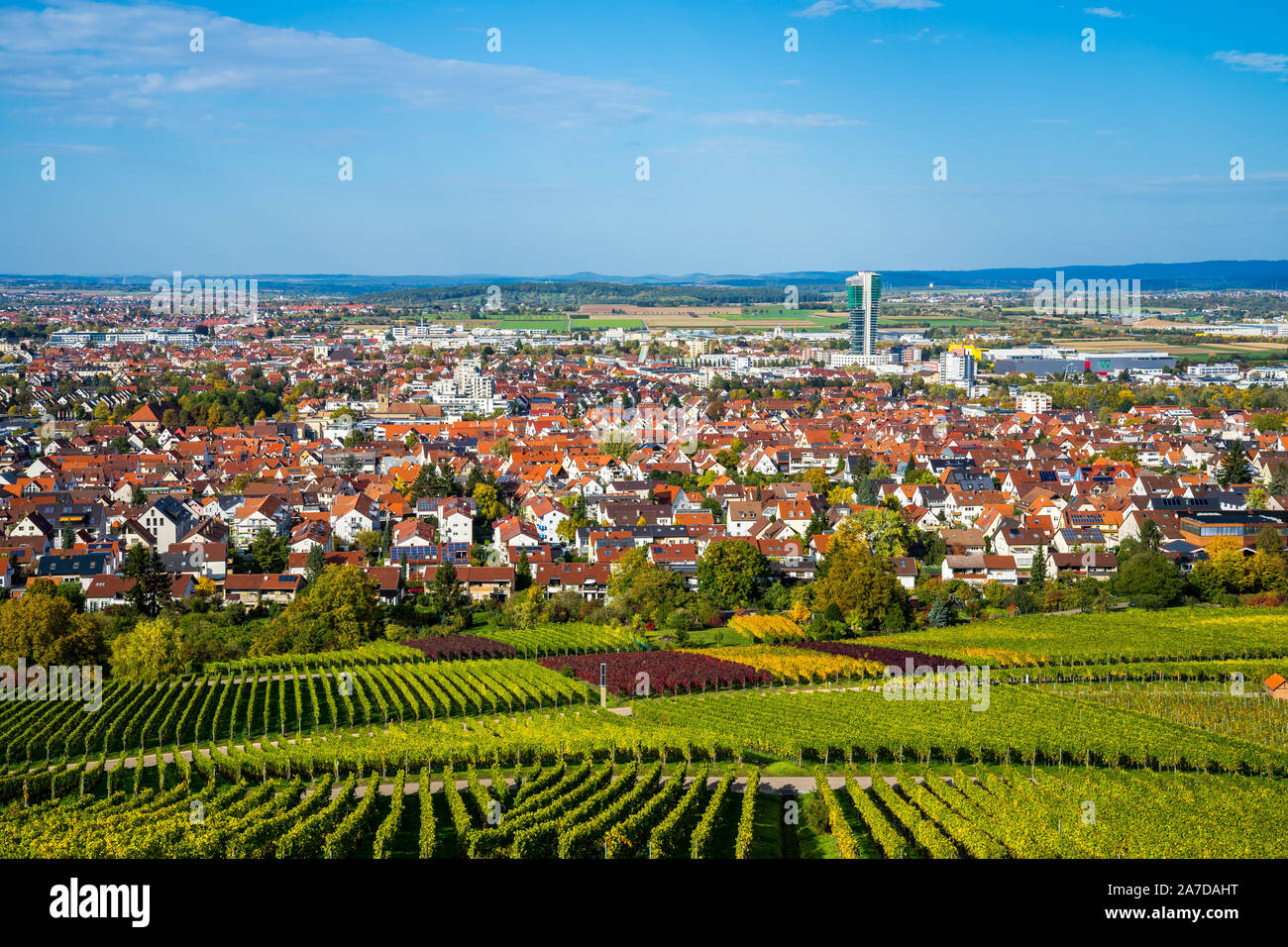 Stuttgart City Forest In Autumn High Resolution Stock Photography and ...