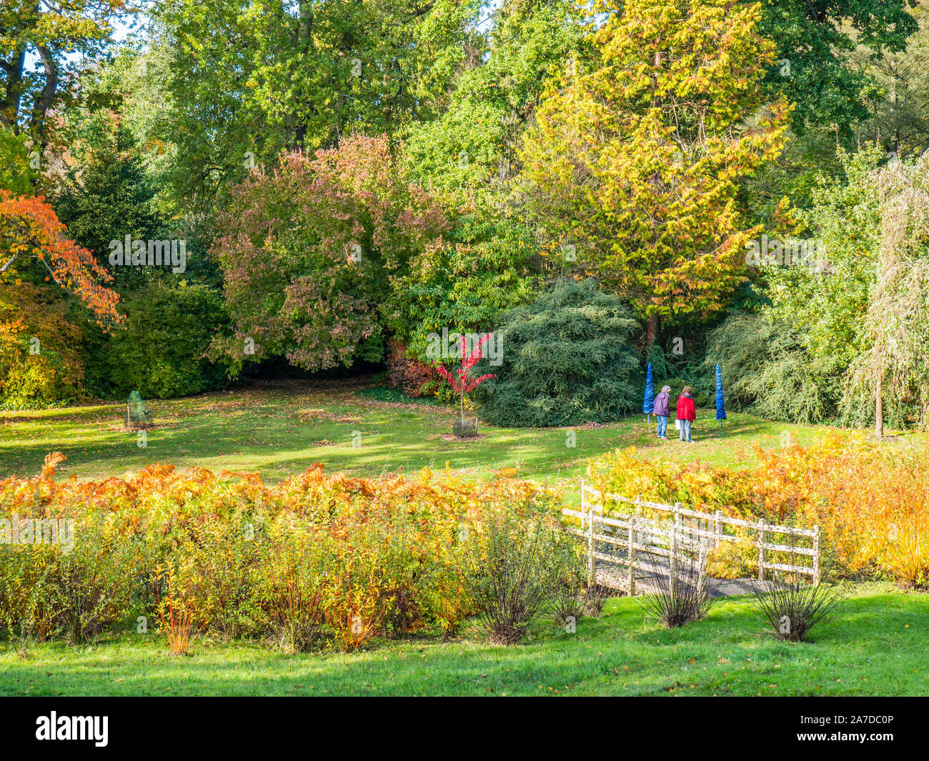 Savill garden surrey hires stock photography and images Alamy