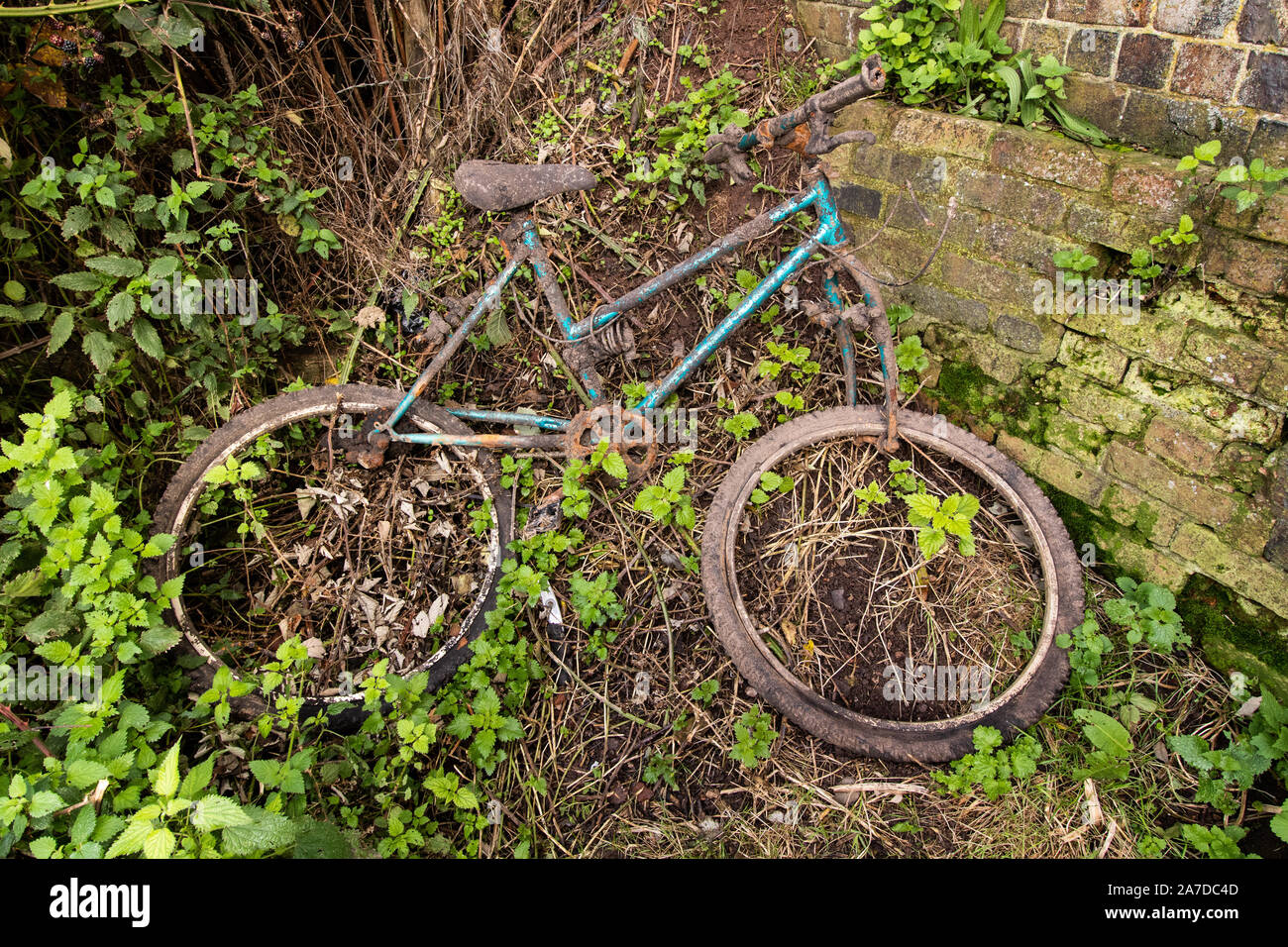 Canal debris lying on the towpath of the Coventry canal near Nuneaton, Warwickshire. A bicycle almost engulfed by nature. Stock Photo
