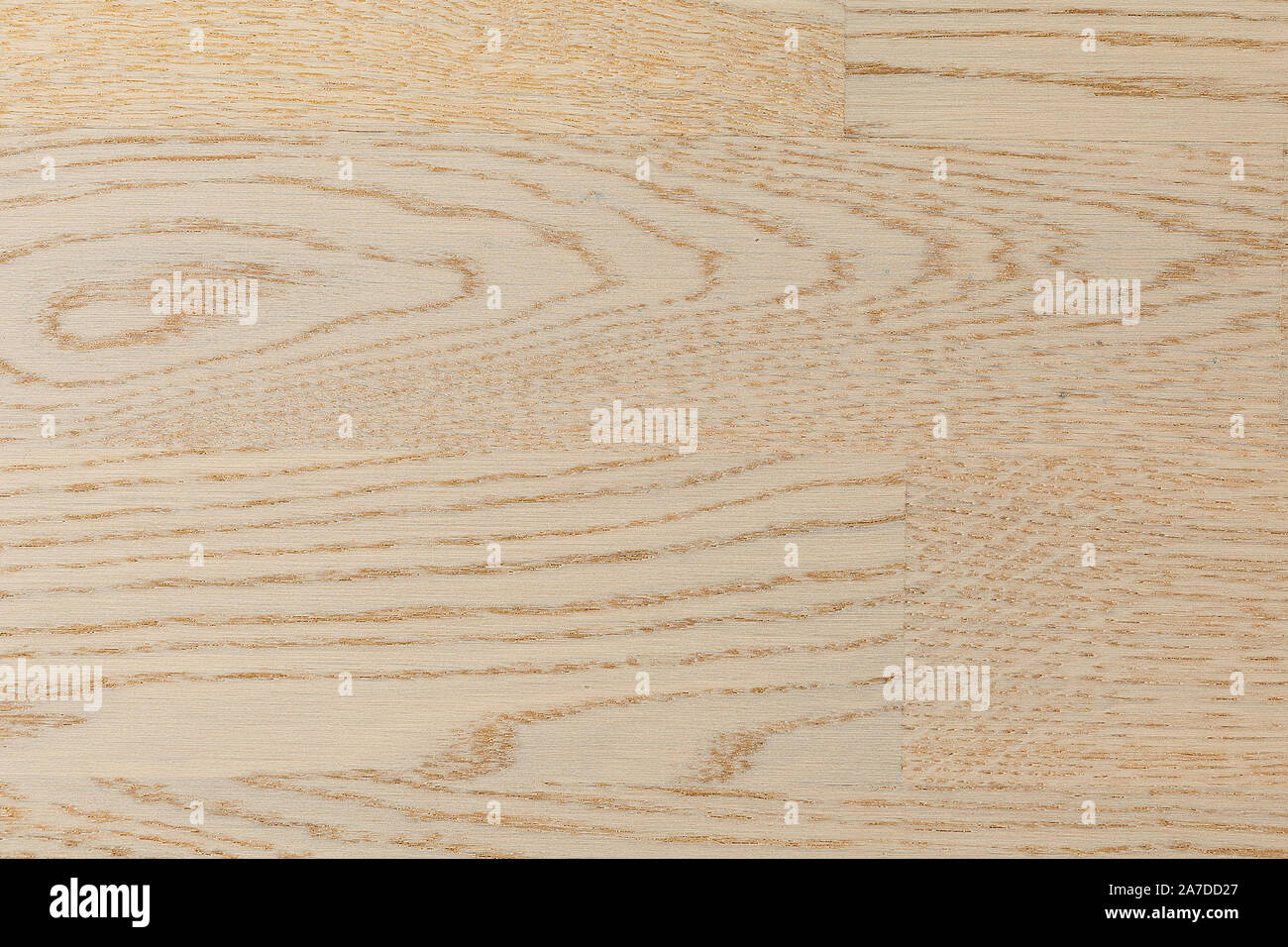 Flatlay Of Birch Laminate Floor Covering Of Flaxen Color Stock