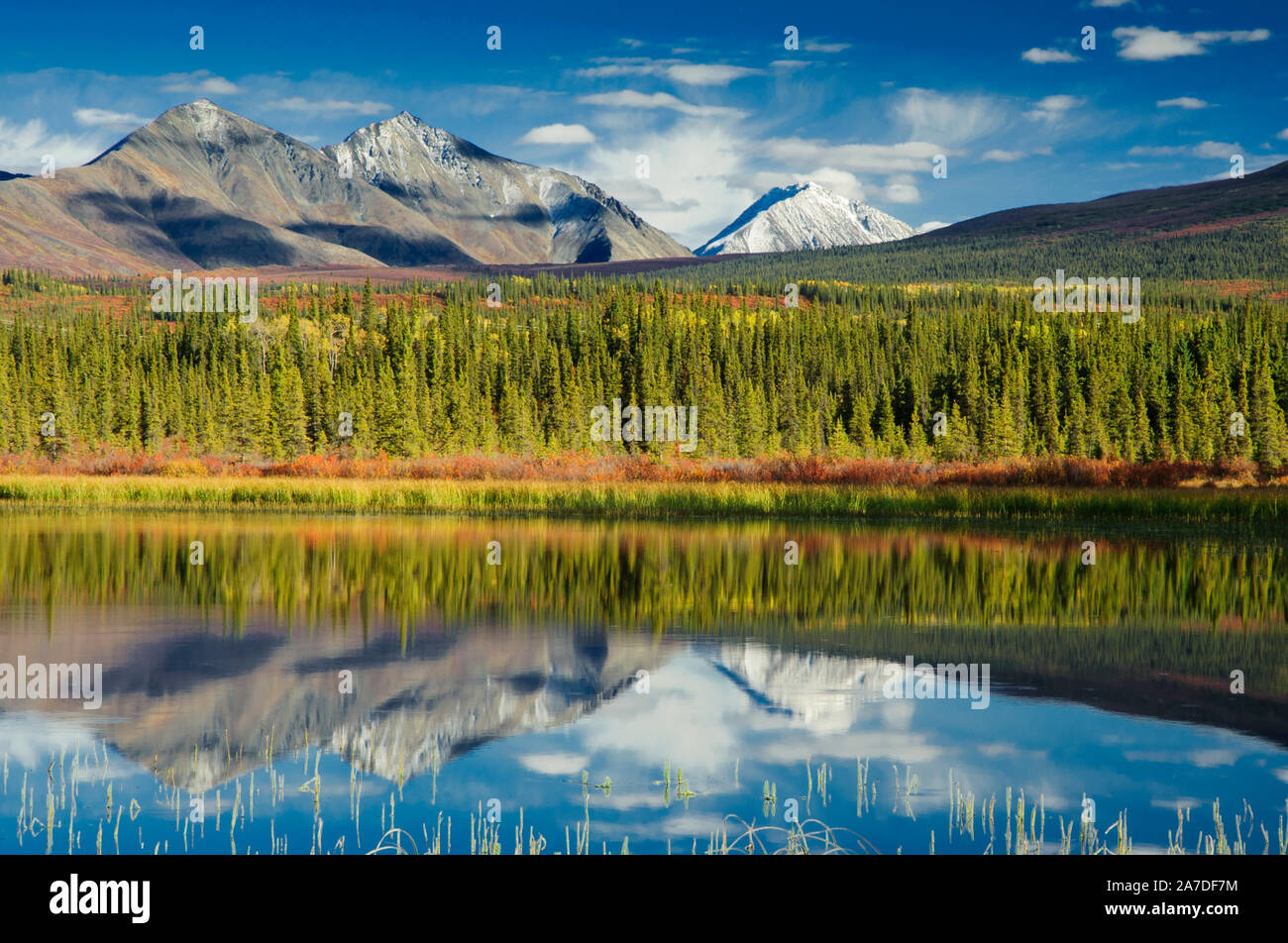 North America; United States; Alaska Range Mountains; Twin Mountain; Boreal Forest; Autumn Sunset Stock Photo