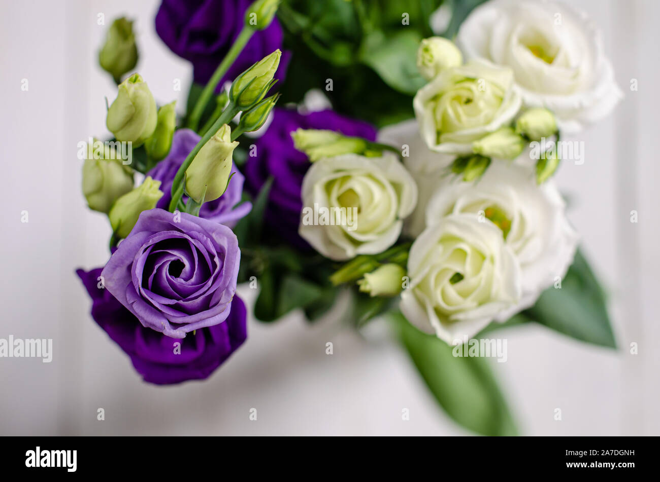 Bouquet of eustoma flowers on white background. Copy space Stock Photo