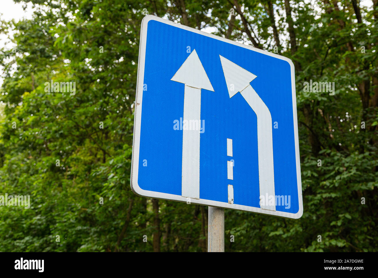 Close-up of roadsign Road narrowing against green trees Stock Photo