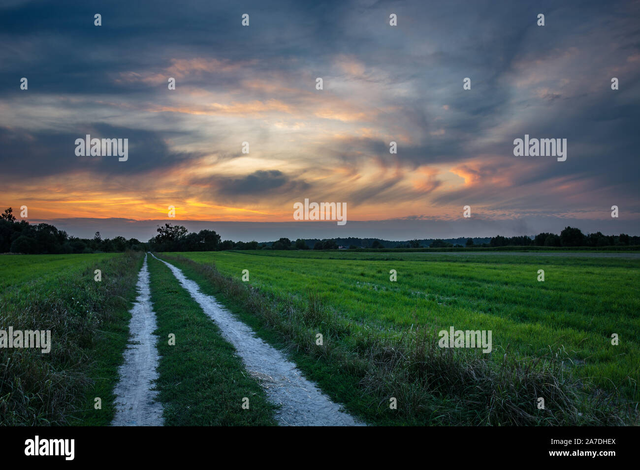 Dirt road through a green field, horizon and clouds after sunset Stock ...