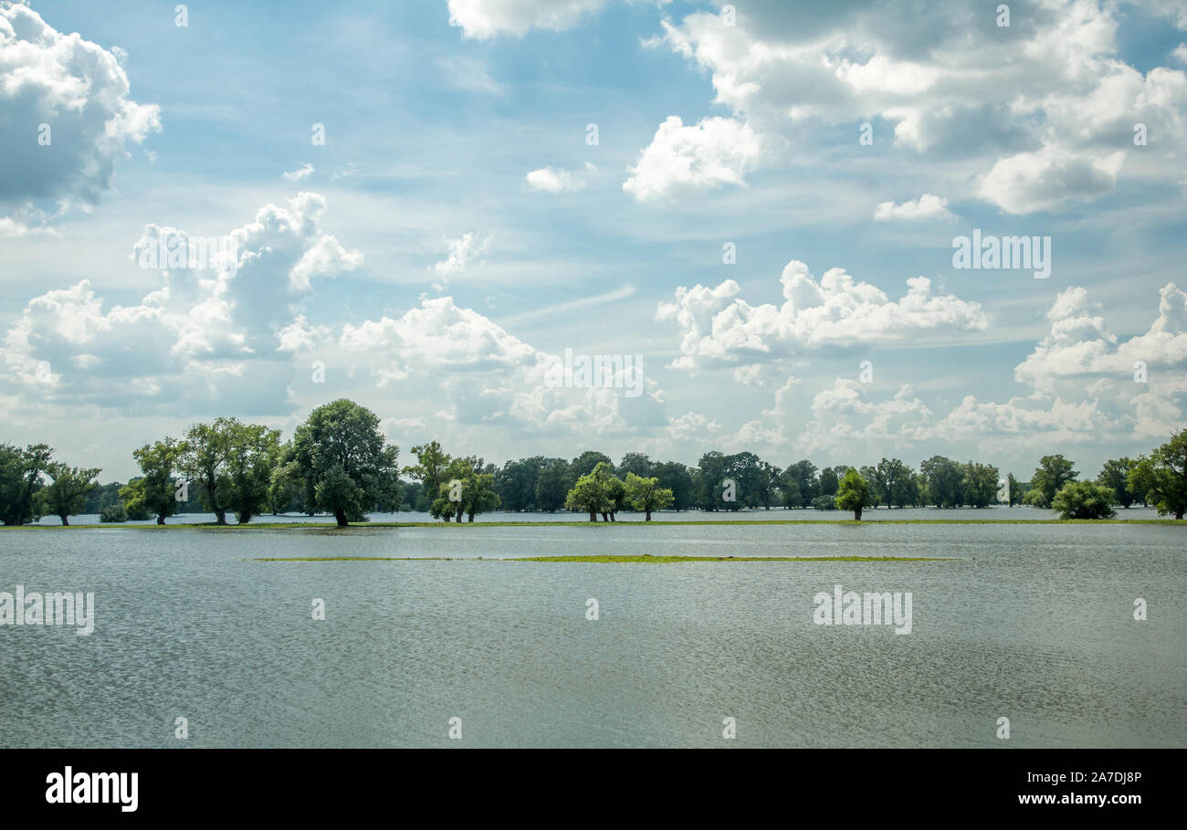 scenic photo of summer sky and high level of danube flooding its flood plains, dobrogea county, romania Stock Photo