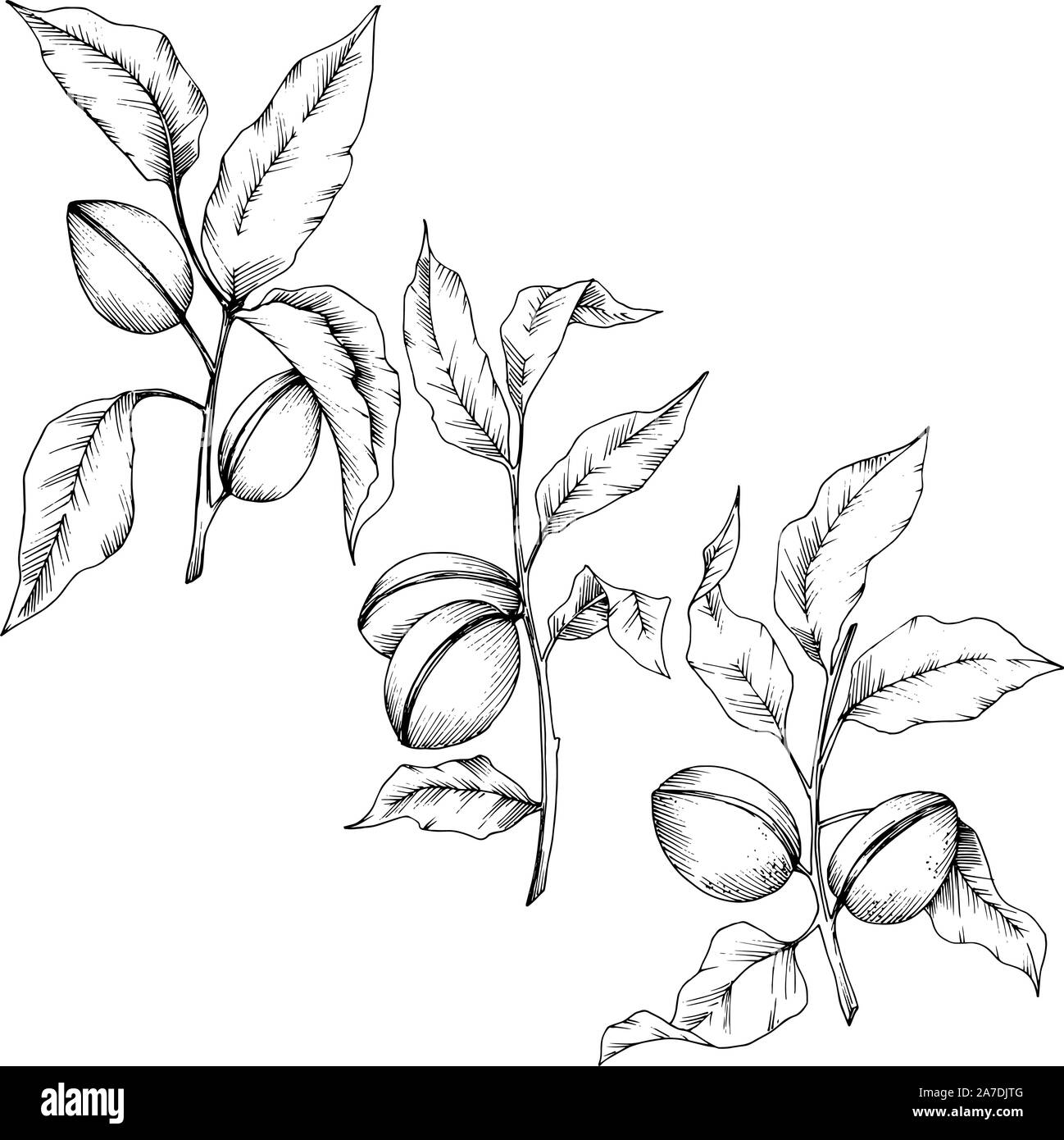 4878 Stock Vector Images Alamy