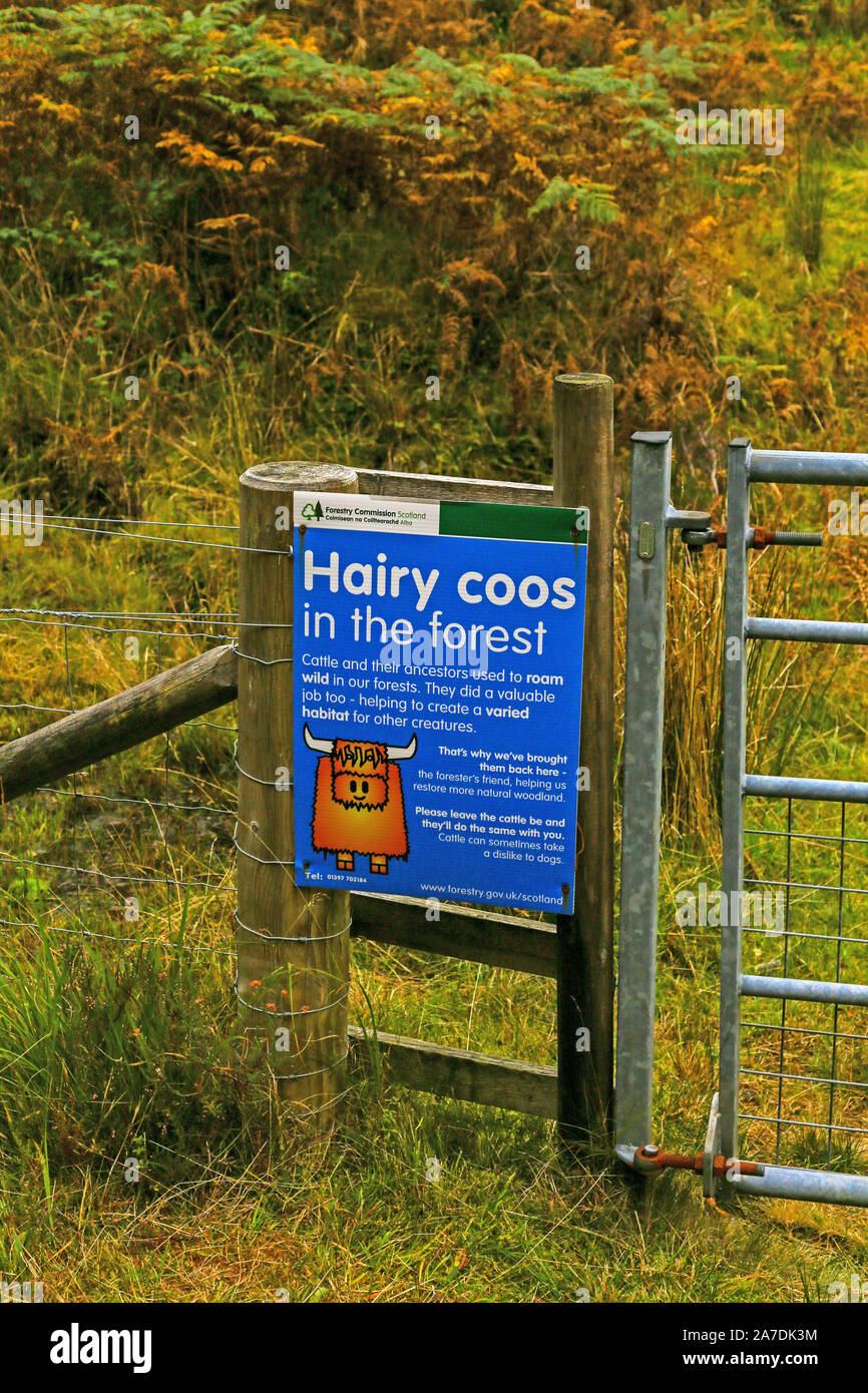 Forestry commission scotland hires stock photography and images Alamy