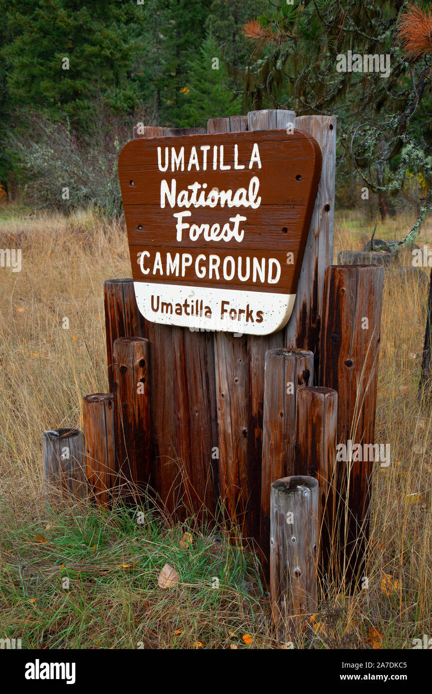 Umatilla Forks Campground sign, Umatilla National Forest, Oregon Stock Photo Alamy